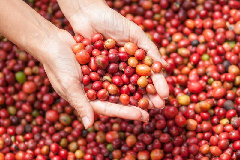 What You Should Buy In Colombia If You Love Coffee