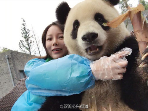 This Panda Puts Other Selfie Takers to Shame