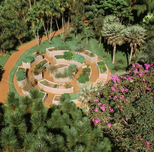 Inhotim: This Outdoor Museum in Brazil Has to Be Seen to Be Believed
