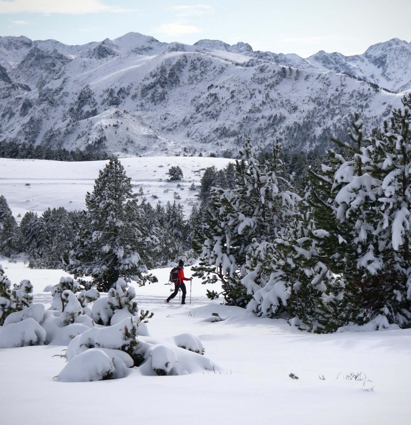 5 Mistakes to Avoid During Your Ski Trip This Winter Skiing in the forest
