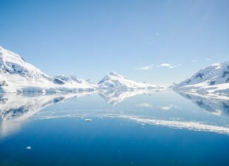 How You Can Travel to Antarctica Elephant Island, Antarctica