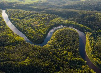 Thinking About Visiting the Amazon Rainforest? Here’s What You Need to Know Amazon Rainforest