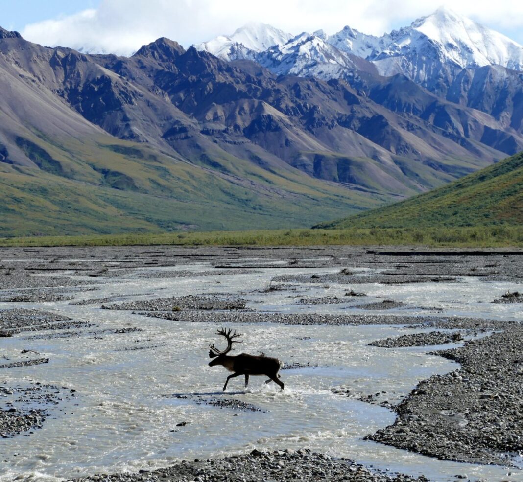 Denali National Park, Alaska, United States