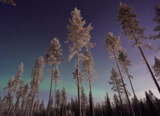 3 Fun Things to Do in Lapland, Finland Lapland, Finland