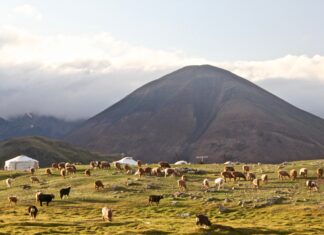 3 Reasons to Visit Mongolia Altai mountains, Western Mongolia