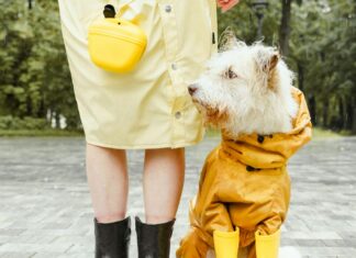 Best Rain Boots To Take On An Outdoor Vacation rain boots