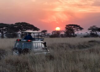 Top Travel Gear for Your Next Safari Serengeti, Tanzania
