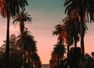 3 Of The Best Things To See In California California, USA