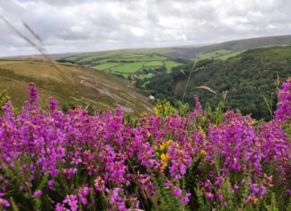 3 Amazing Places to Hike in the UK Exmoor, UK