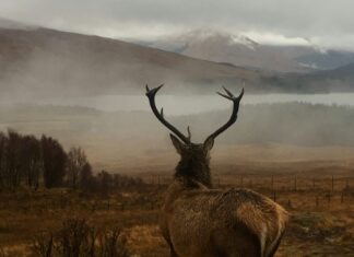 3 Reasons to Tour Argyll and Bute, Scotland Argyll and Bute, Scotland, United Kingdom