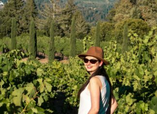 Travel to Napa, California on a Budget Girl in a vineyard in Napa Valley, California