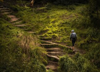 4 Safety Tips for Solo Travelers Person walking in the woods