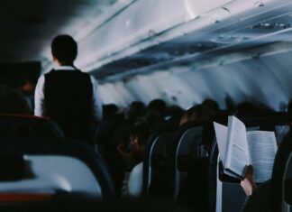 Tips For a Smooth Flight With Toddlers People on a Plane