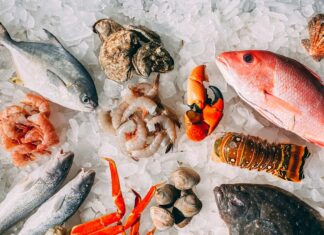 Best Seafood Restaurants In Lisbon, Portugal seafood