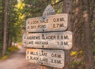 Best Hiking Trails Near Denver, Colorado Rocky Mountain National Park, Colorado, USA