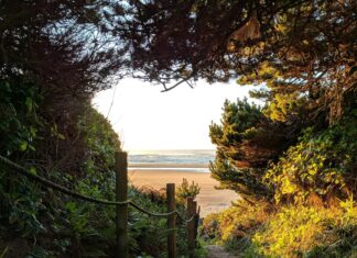 Beach Vacations For Less Than $80 Per Day Path to the beach