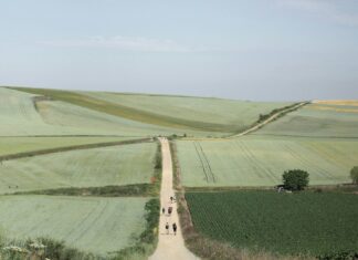 Why Everyone Should Experience the Camino de Santiago, Spain Camino de Santiago, Spain