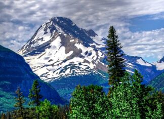 Why You Should Visit Glacier National Park for a Wildlife Adventure Glacier National Park, Montana, USA