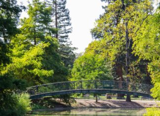 3 Unmissable Activities in Bordeaux, France Bordeaux, France