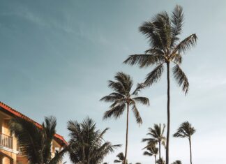 Is An All-Inclusive Hotel Worth the Money? Majestic Elegance - Punta Cana, Bavaro, Dominican Republic