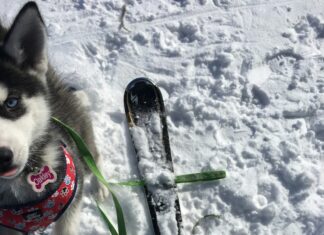 Best Holiday Destinations For December Adirondacks, New York, USA