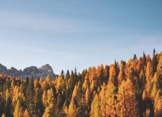 4 Tips to Keep in Mind When Taking an Adventurous Trip During Fall Lago di Sorapis, Italy