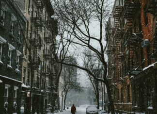 Top 4 Things to Do in New York City for Christmas West Village, New York, United States