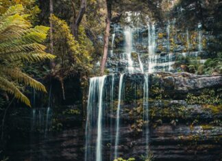 Discover Tasmania’s Breathtaking Waterfalls in Mount Field National Park Mount Field National Park, Uxbridge Tasmania, Australia