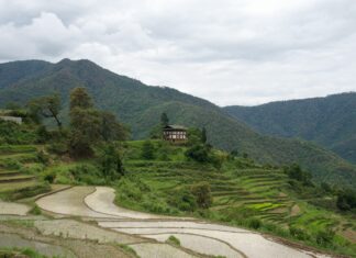 4 Things Travelers Should Know About Bhutan Punakha - Thimphu Highway, Khuruthang, Bhutan